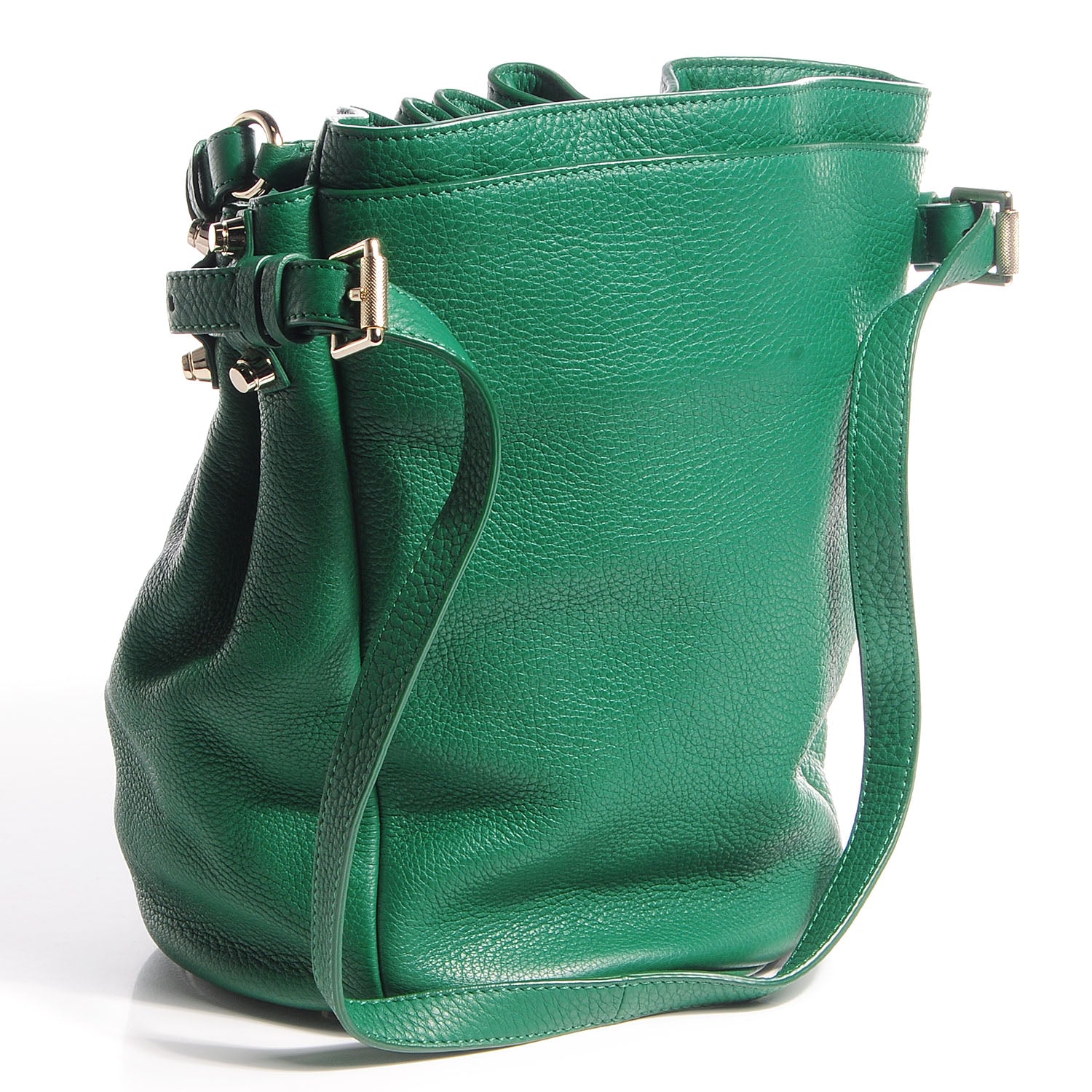 Alexander Wang Dumbo Leather Diego Bucket Bag Vine w Pale Gold Hardware 3 of 6
