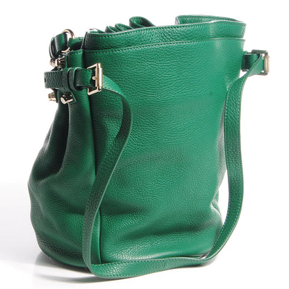 Alexander Wang Dumbo Leather Diego Bucket Bag Vine w Pale Gold Hardware 3 of 6