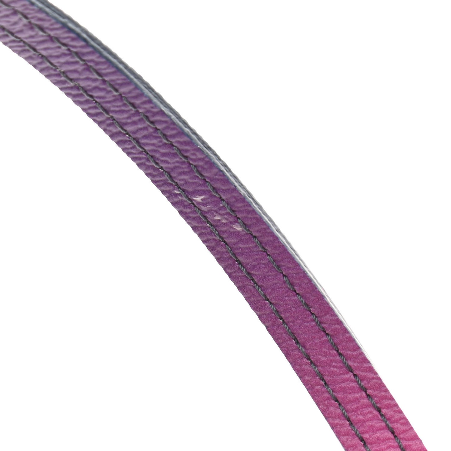 Monogram Giant Spring In The City Neverfull MM Midnight Fuchsia