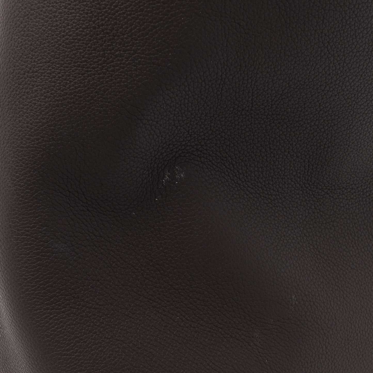 Grained Calfskin Low Key Hobo MM Ebene