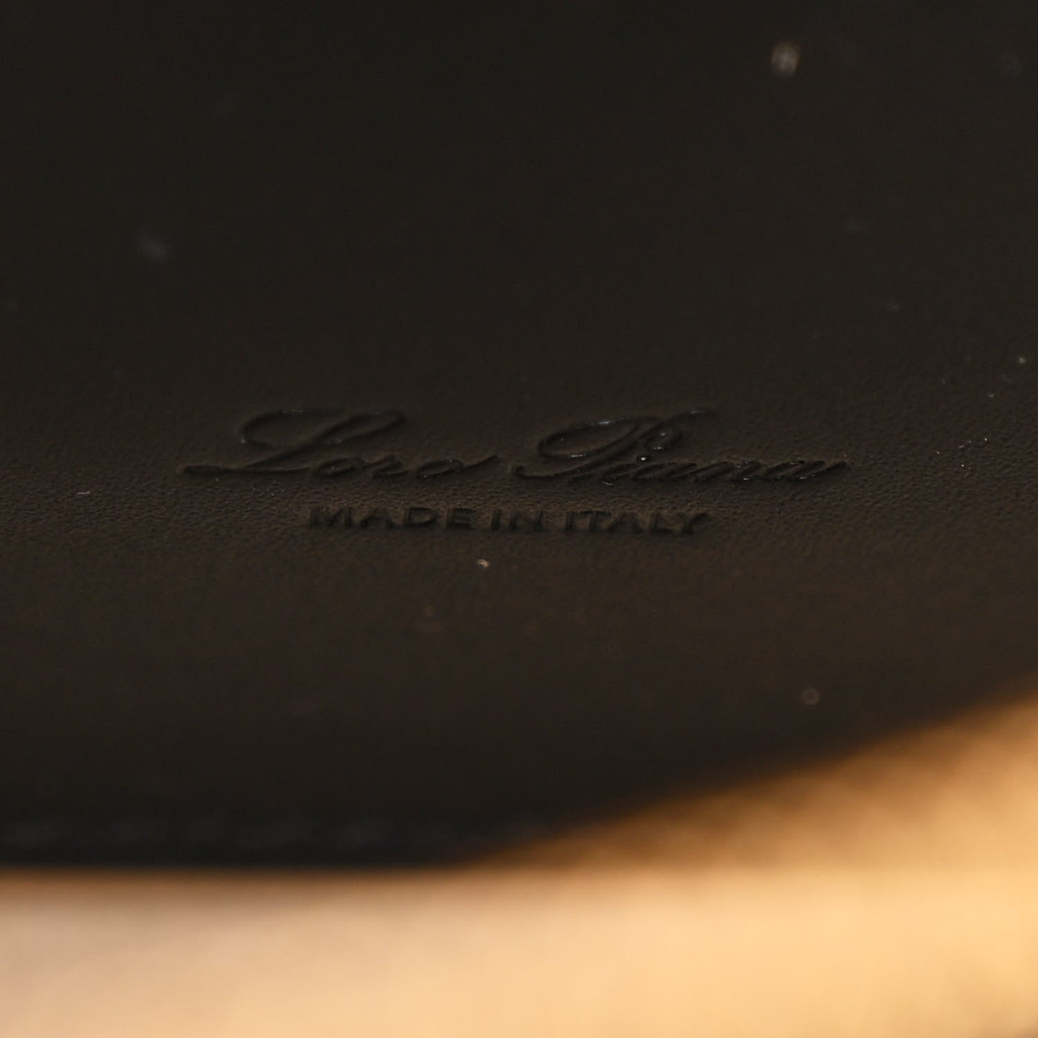 Loro Piana Calfskin Extra Bag L27 Black 6 of 11