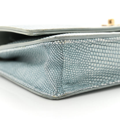 Chanel Lizard Wallet on Chain WOC Light Grey 10 of 19