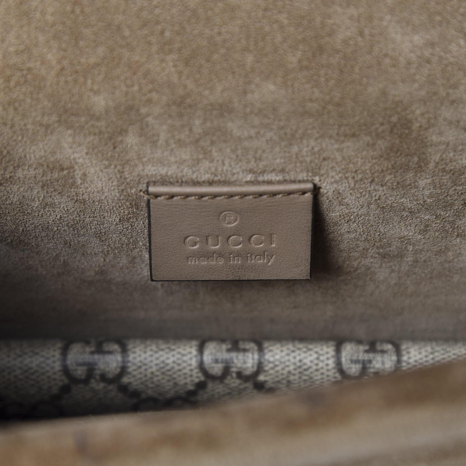 Gucci GG Supreme Monogram Suede Crystal Small Dionysus Shoulder Bag Beige Ebony Taupe 7 of 10