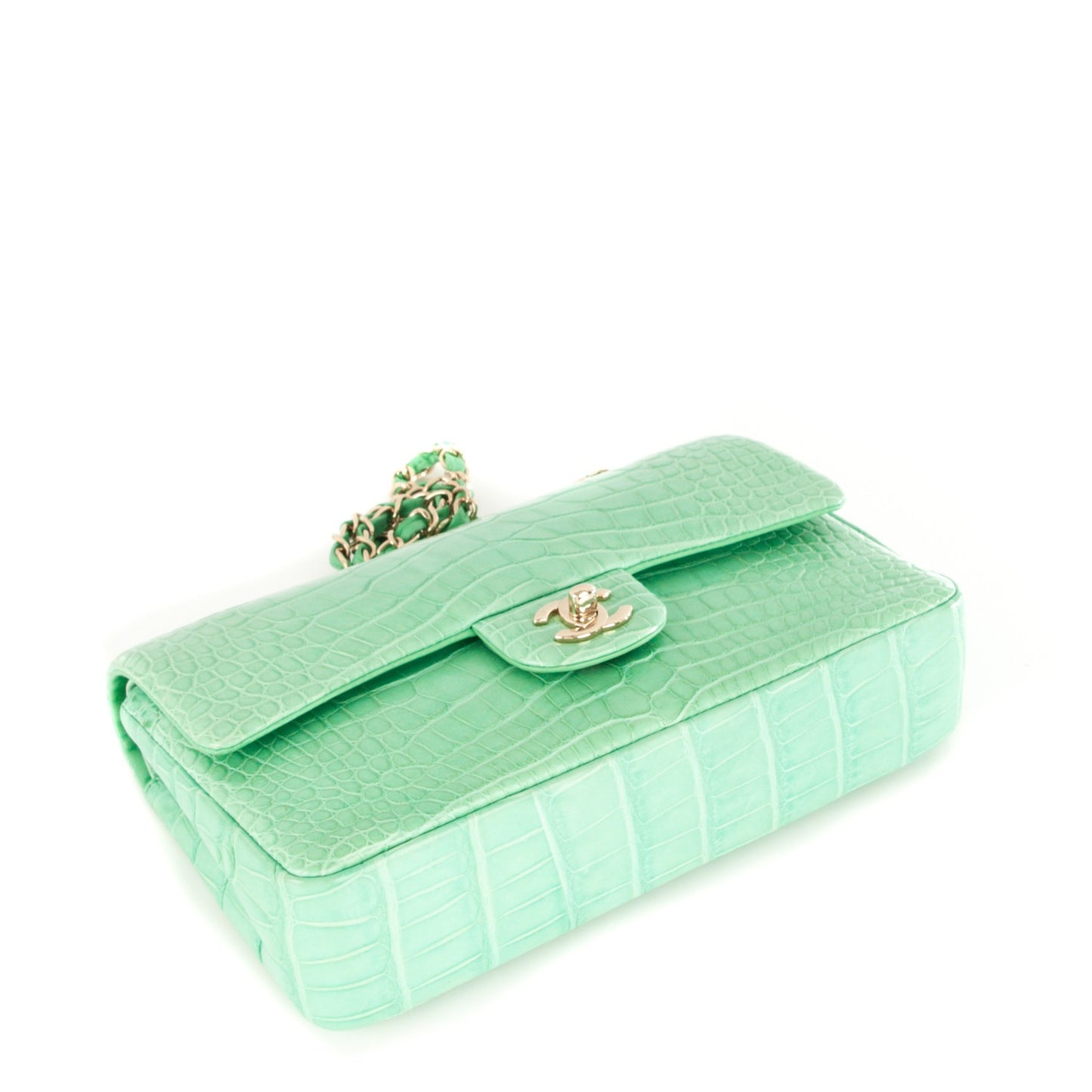 Alligator Medium Double Flap Light Green