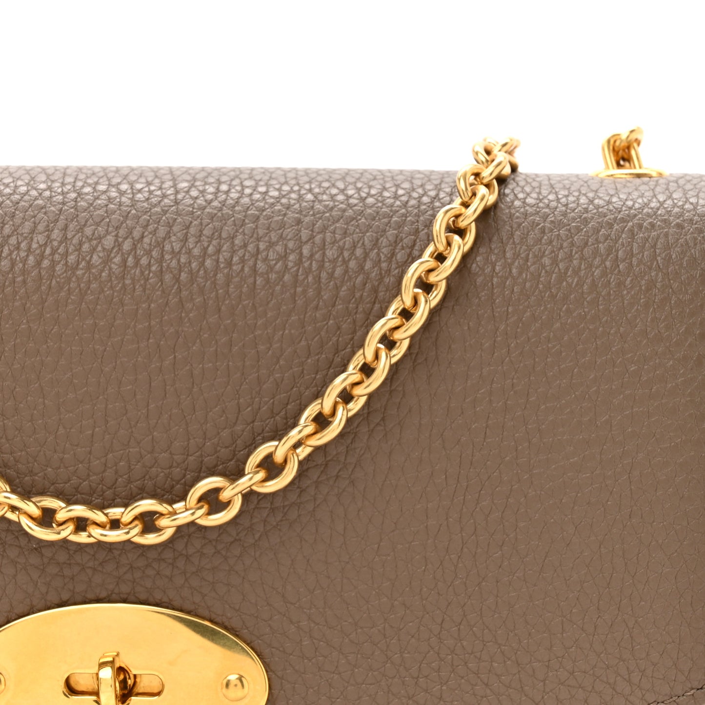 Small Classic Grain Calfskin Small Darley Clay
