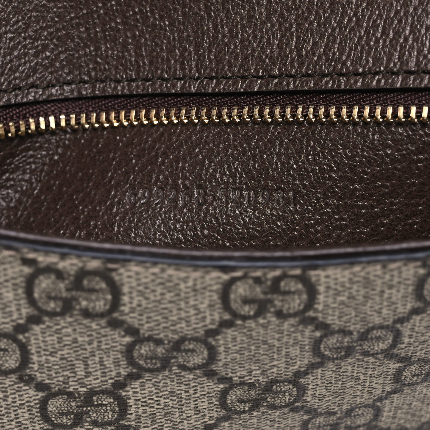 GG Supreme Monogram Textured Dollar Calfskin Blondie Chain Shoulder Flap Bag Beige Ebony New Acero