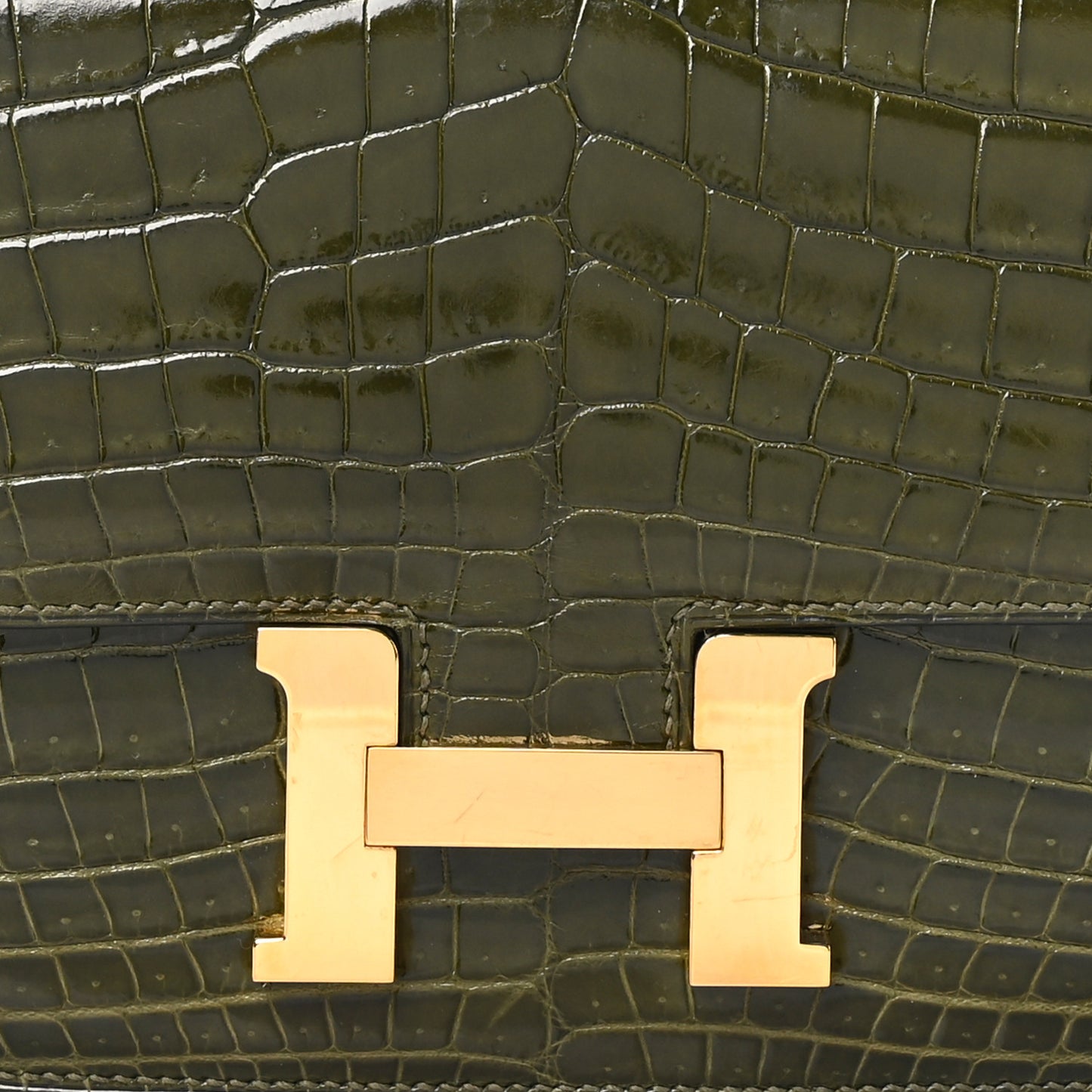 Shiny Niloticus Crocodile Constance 18 Vert Veronese