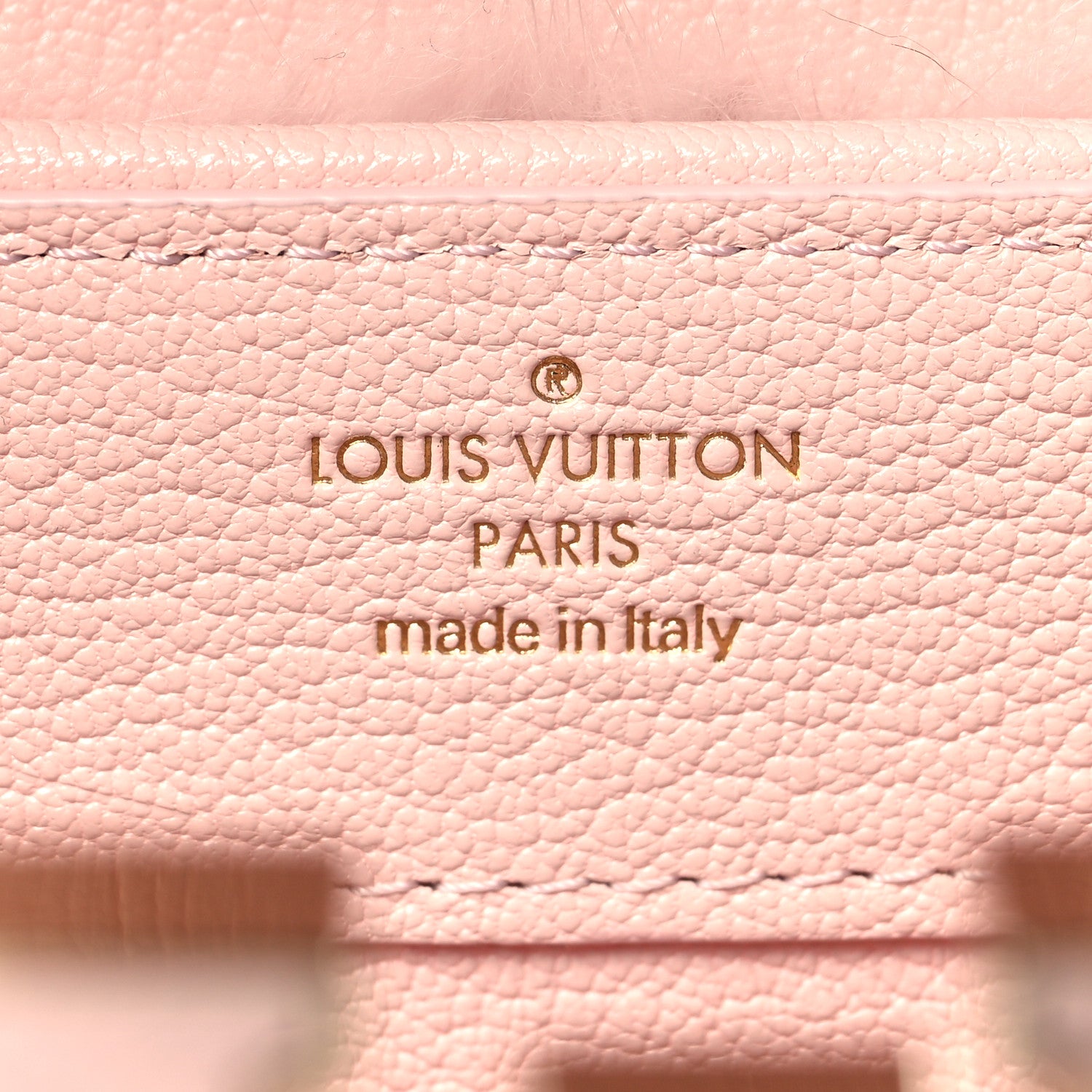 Louis Vuitton Mink Calfskin Goatskin Capucines Mini Rosewater Pink 6 of 9