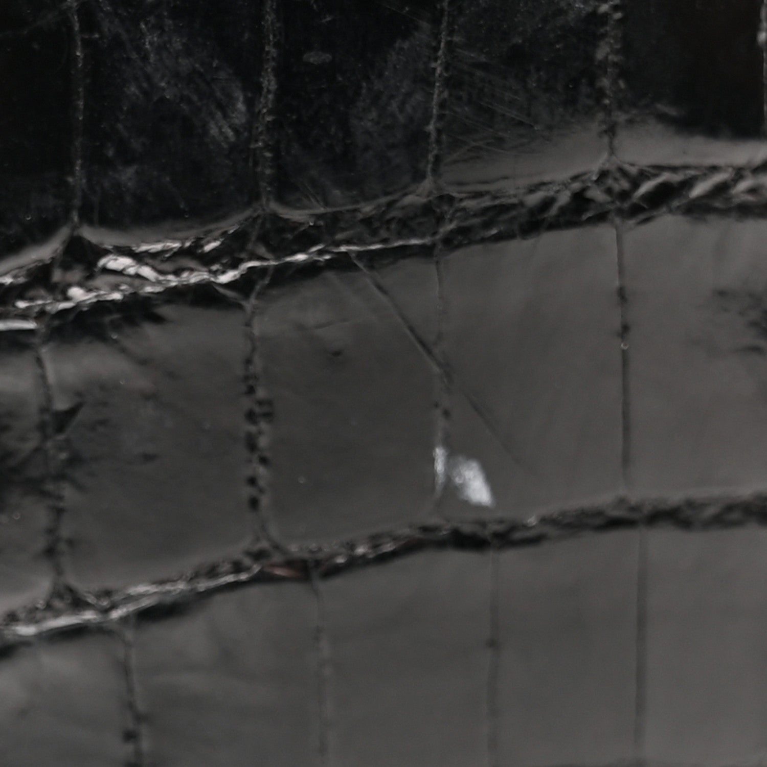 Louis Vuitton Crocodile Twist Mini Shoulder Bag Black 13 of 16