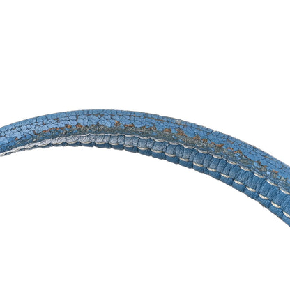 Goyard Goyardine Saint Louis PM Sky Blue 16 of 19