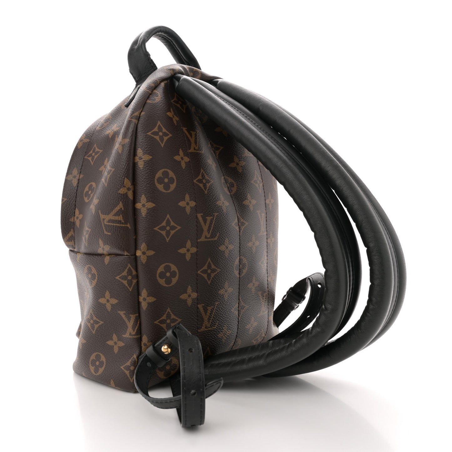 Monogram Palm Springs Backpack PM