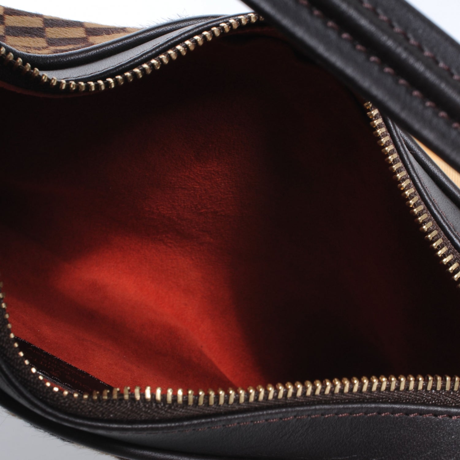 Louis Vuitton Damier Sauvage Tigre 5 of 7