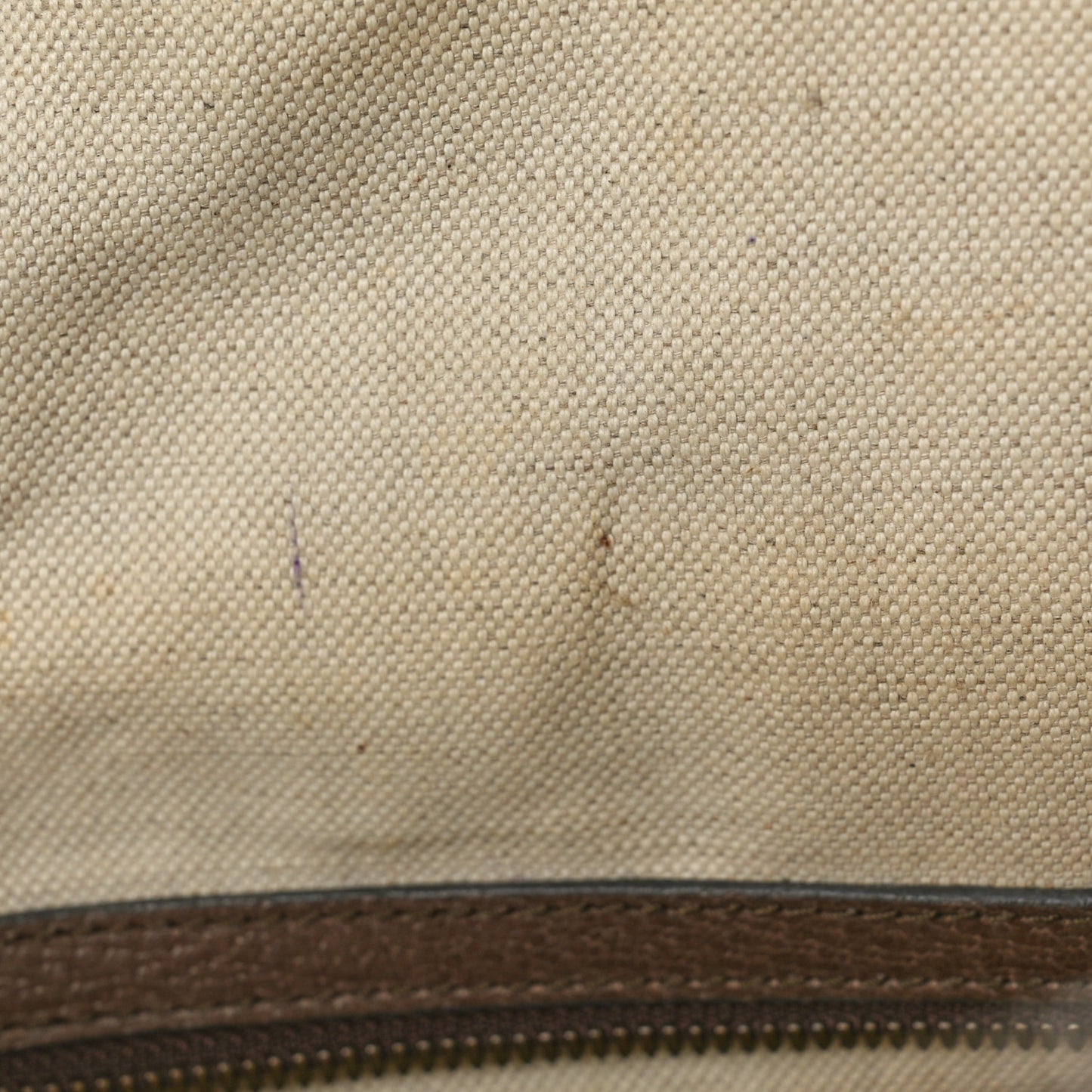 GG Supreme Monogram Medium Ophidia Day Backpack Brown