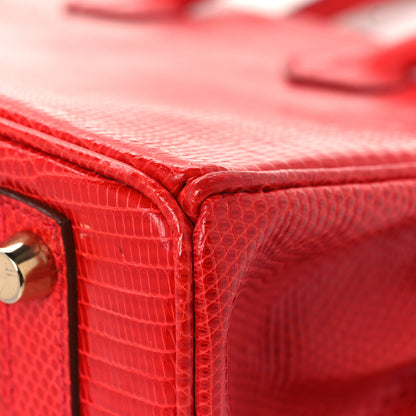 Hermes Lizard Birkin 25 Rouge Moyen 12 of 16