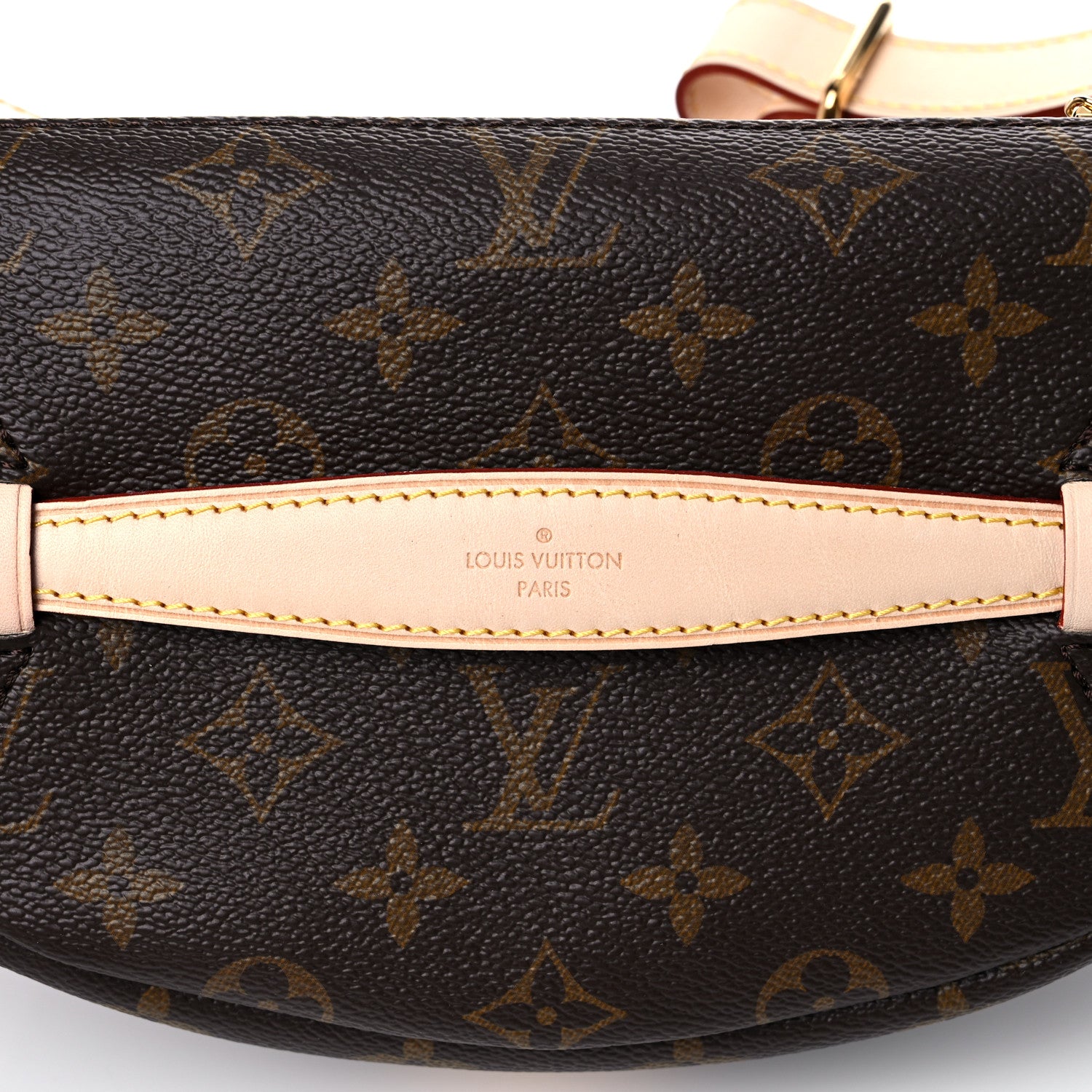 Louis Vuitton Monogram Bumbag 10 of 11