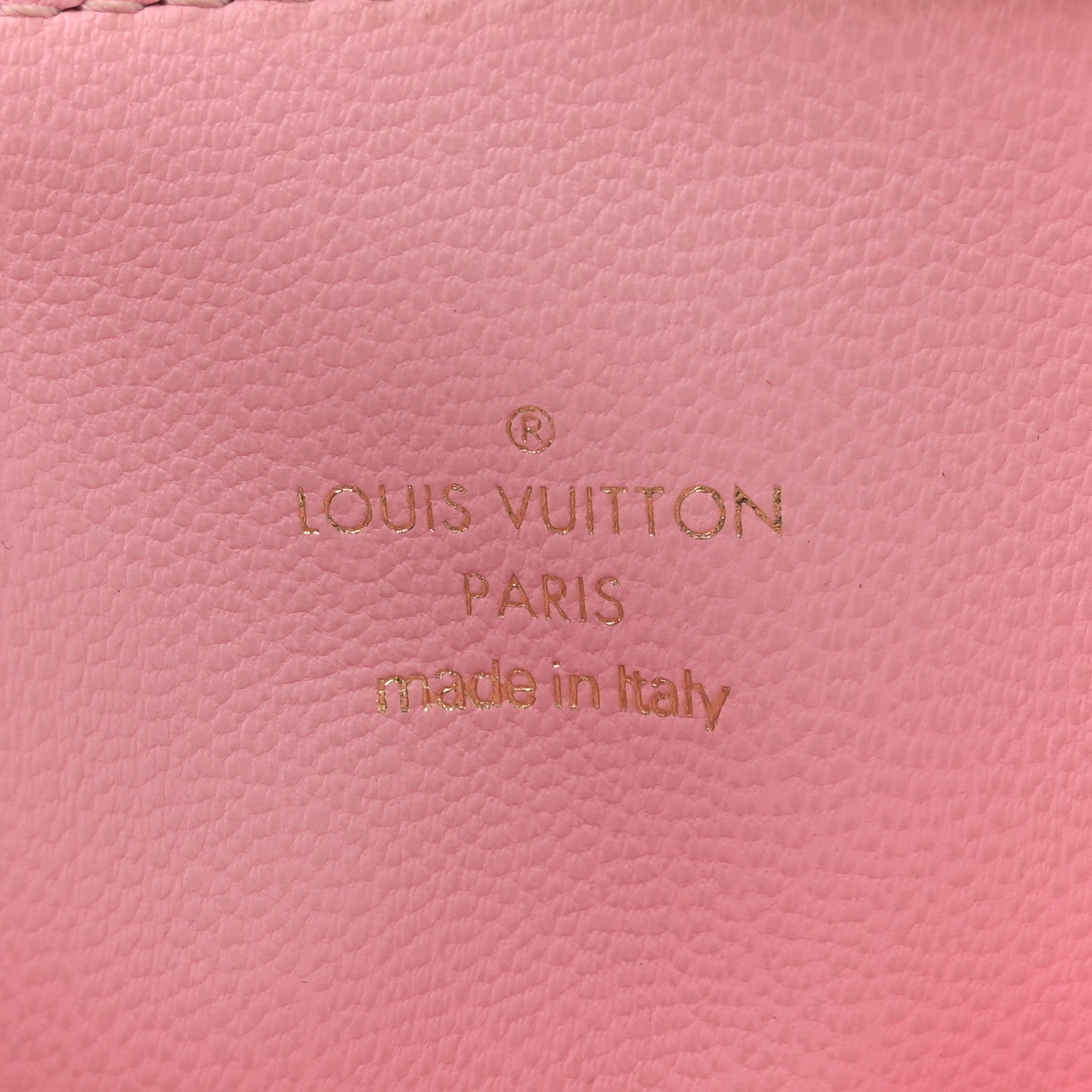 Louis Vuitton Lambskin Embossed Monogram Coussin PM Sunrise Aquarelle 7 of 12