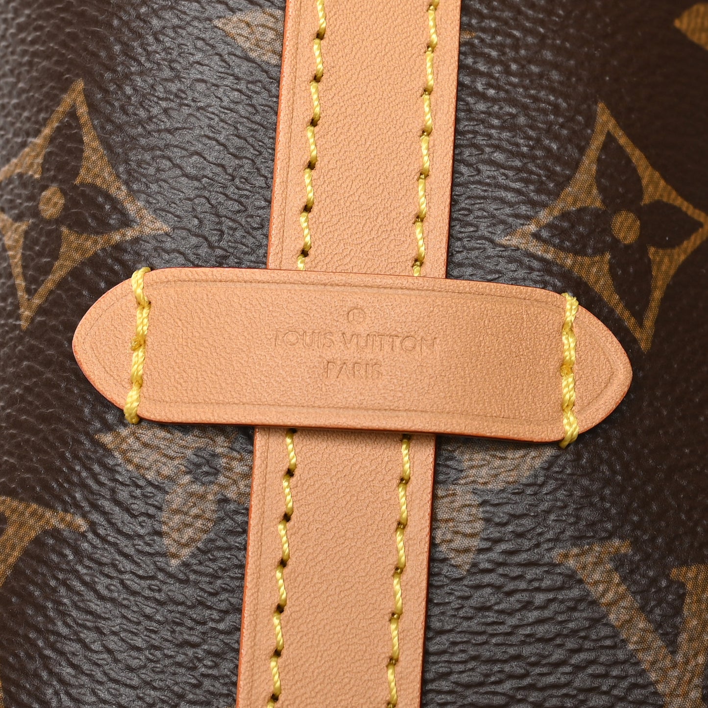 Monogram CarryAll PM