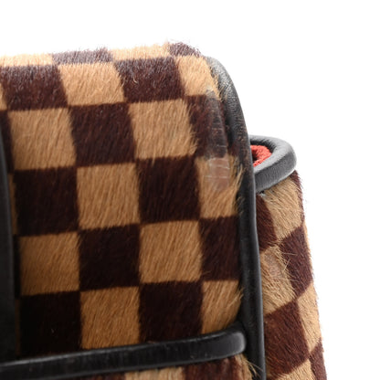 Louis Vuitton Damier Calf Hair Sauvage Lionne 12 of 14