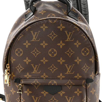 Louis Vuitton Monogram Palm Springs Backpack PM 8 of 10