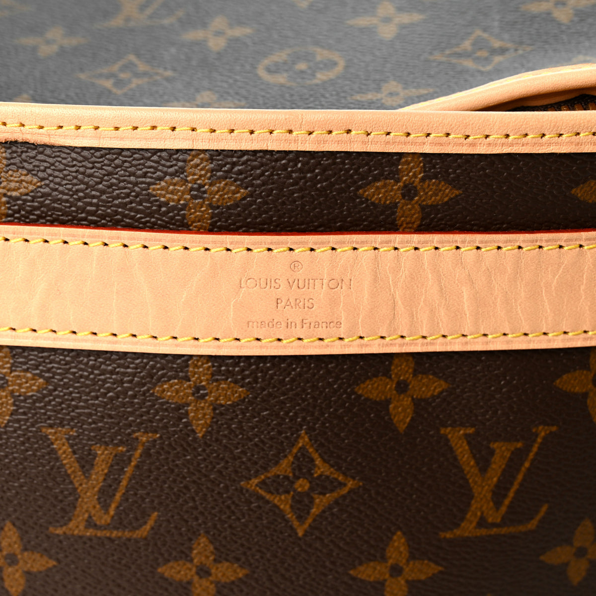 Monogram Dog Carrier 45