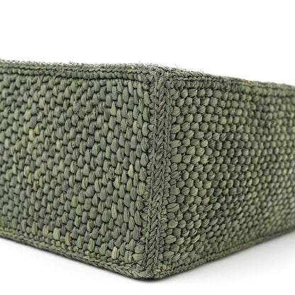 Loewe X SUNA FUJITA Raffia Small Font Tote Bottle Green 10 of 11