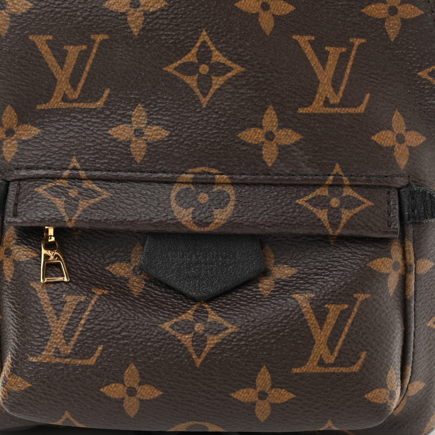 Louis Vuitton Monogram Palm Springs Backpack Mini 7 of 11