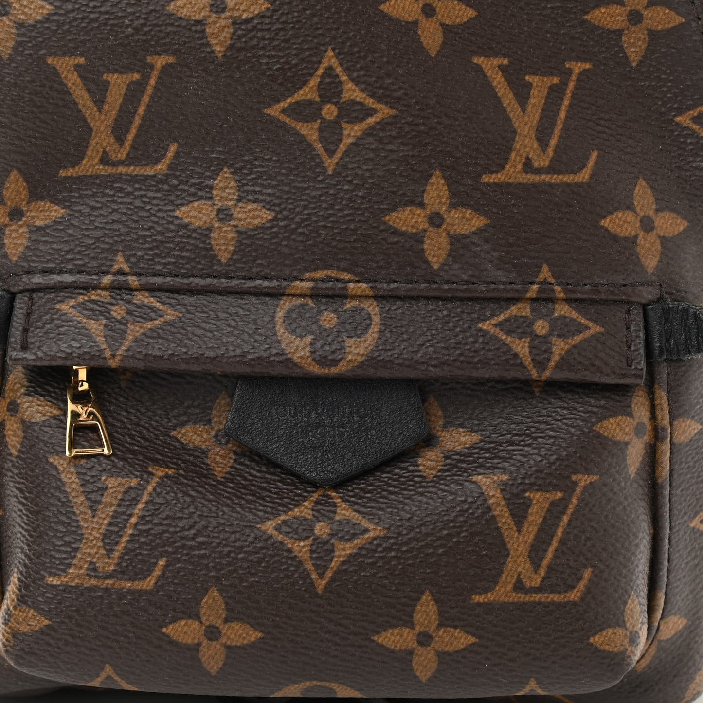 Monogram Palm Springs Backpack Mini