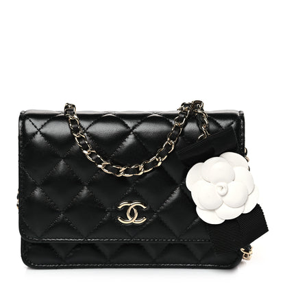 Chanel Lambskin Quilted Mini Camellia Bow Wallet On Chain WOC Black 1 of 9