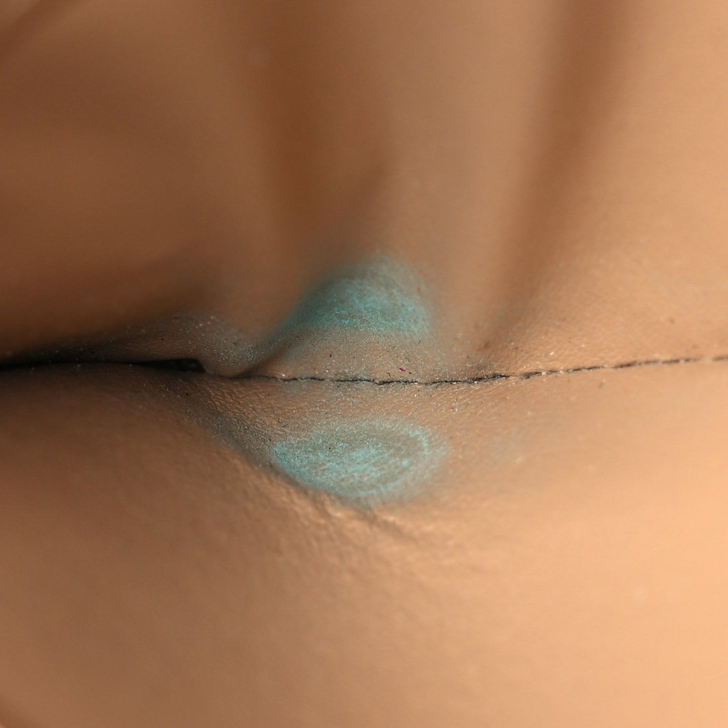 Monogram Complice Trunks and Bags Wallet Beige