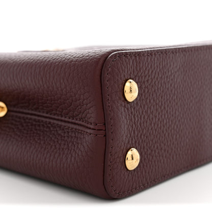 Louis Vuitton Taurillon Ostrich Mini Capucines Bordeaux 8 of 10