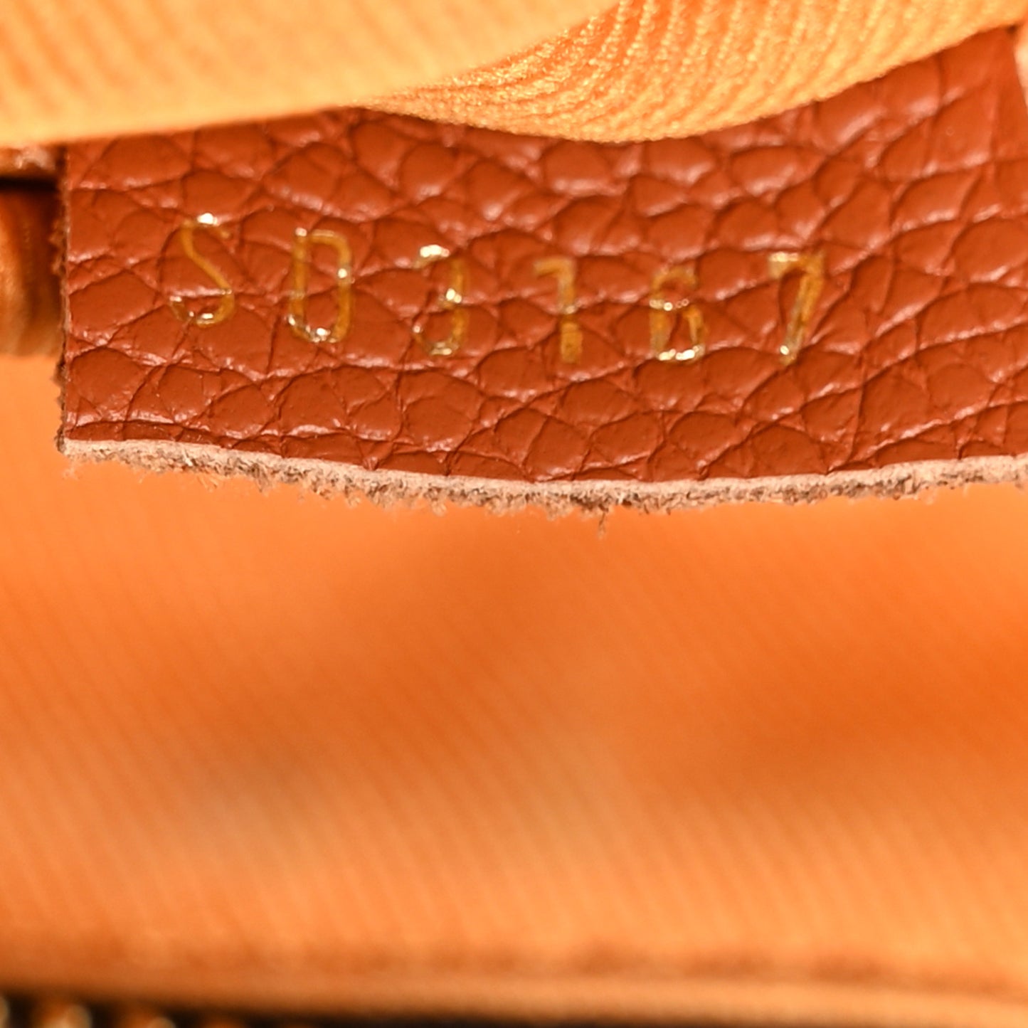 Monogram Manhattan NM Caramel