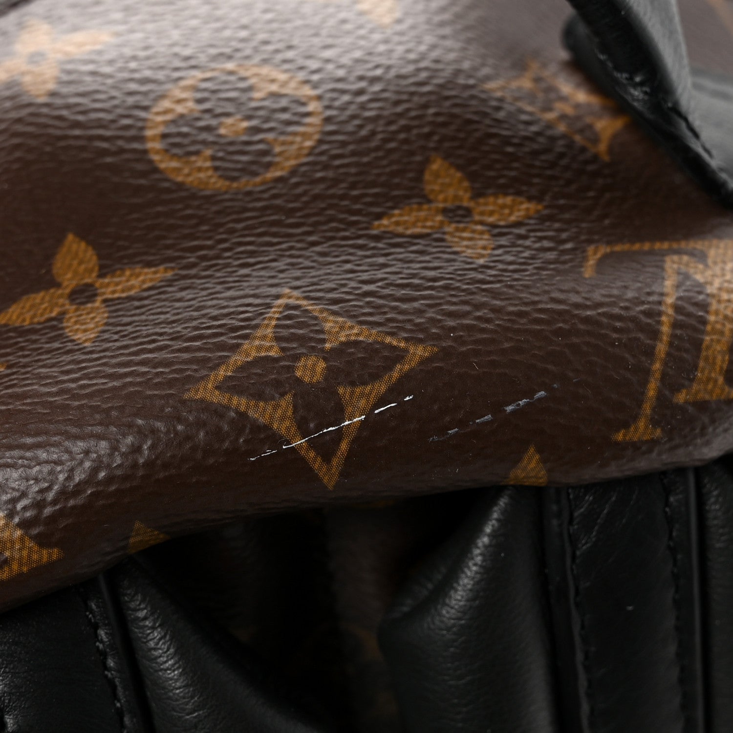 Louis Vuitton Monogram Palm Springs Backpack MM 11 of 11