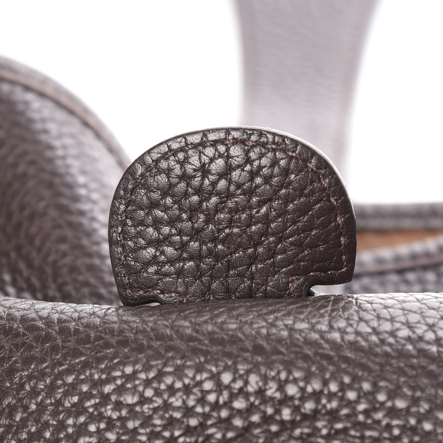Taurillon Clemence Evelyne III TGM Chocolate