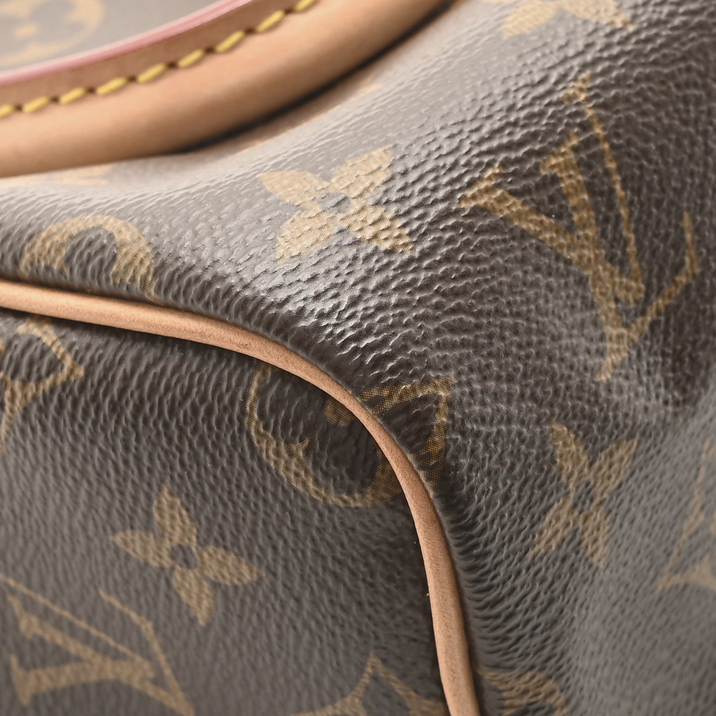 Monogram Nano Speedy