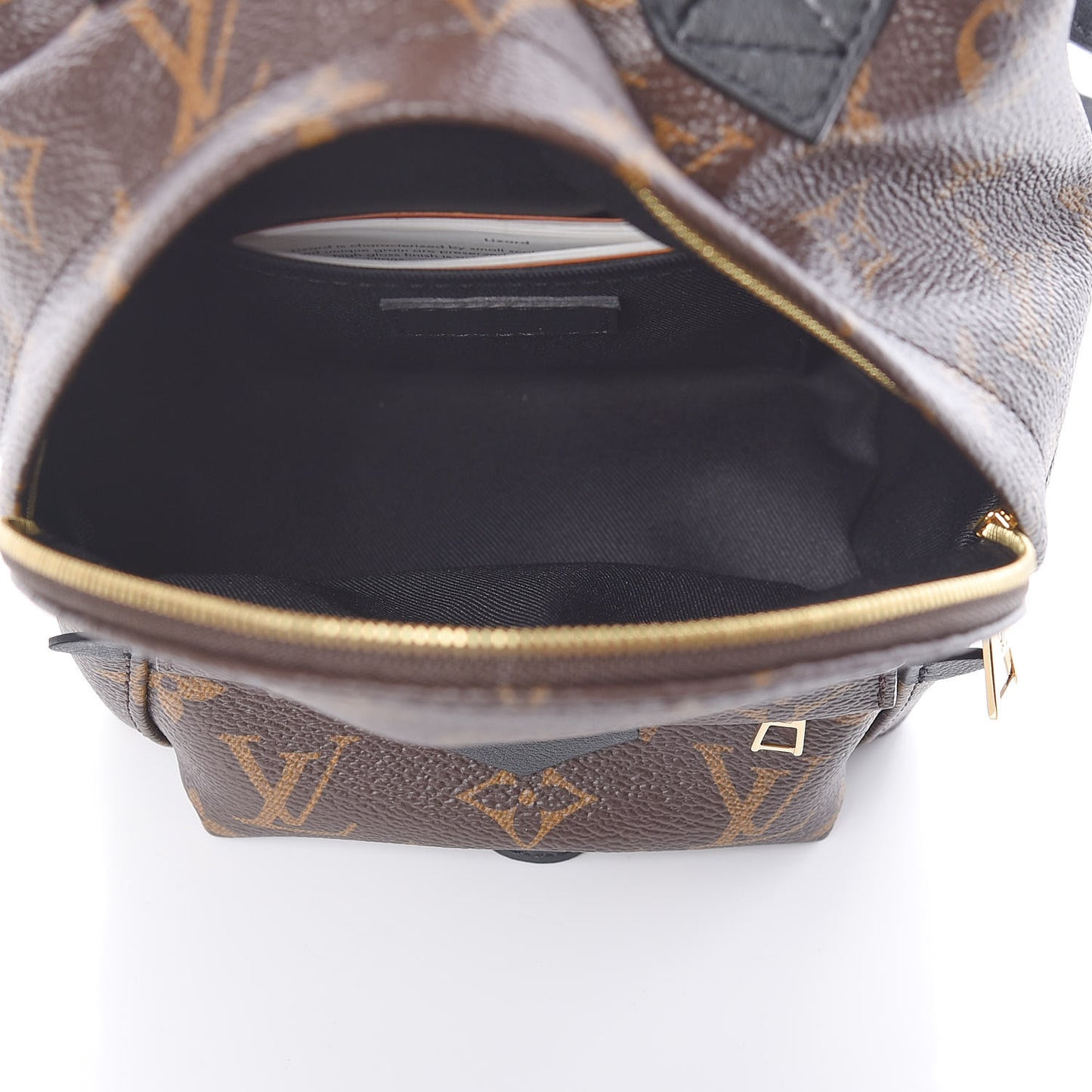 Monogram Palm Springs Backpack Mini