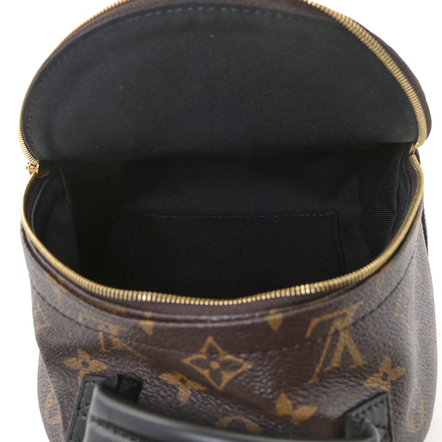 Monogram Palm Springs Backpack Mini