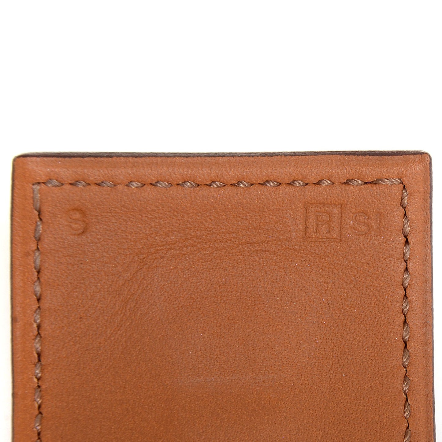 Swift Collier de Chien CDC Bracelet Small Anemone