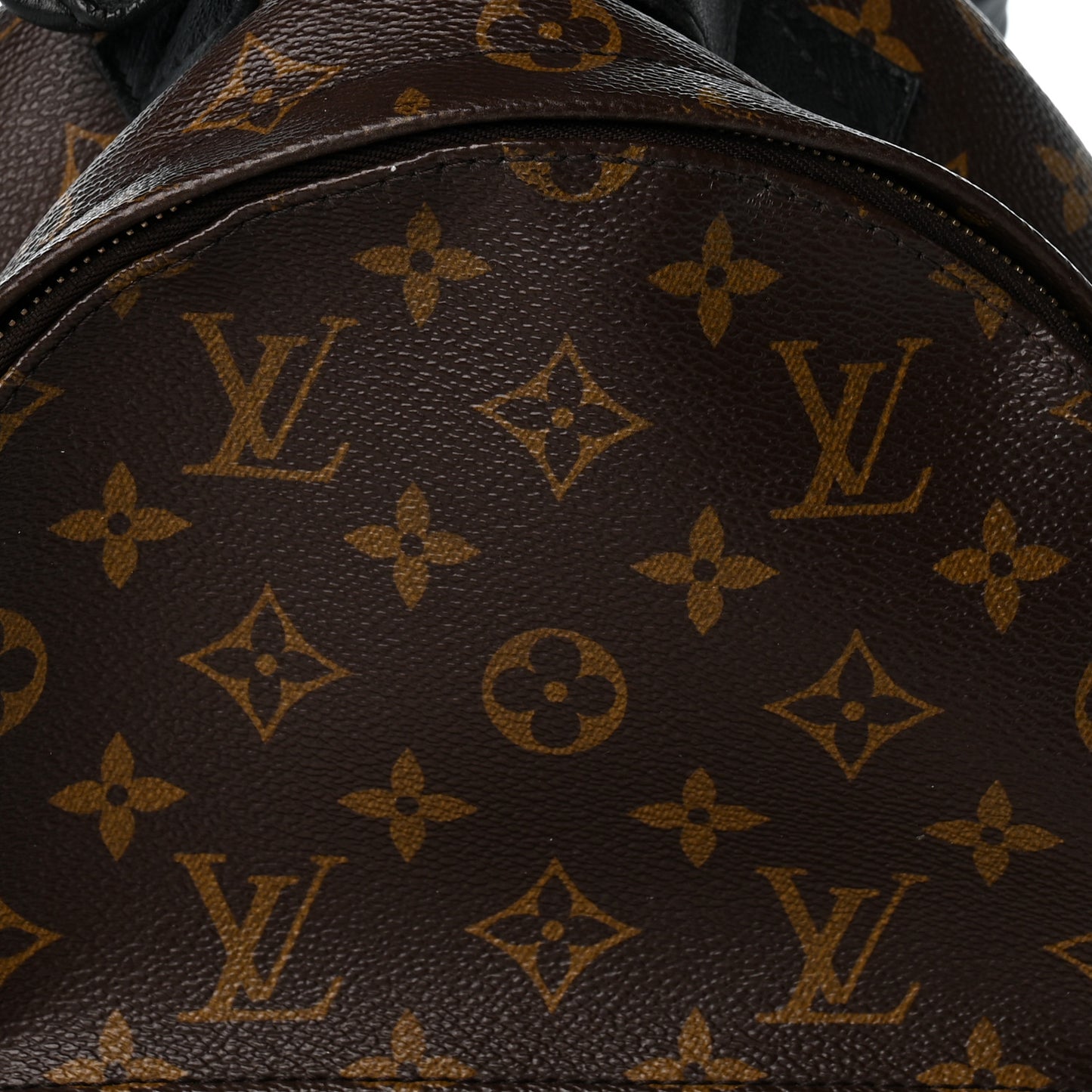 Reverse Monogram Palm Springs Backpack PM