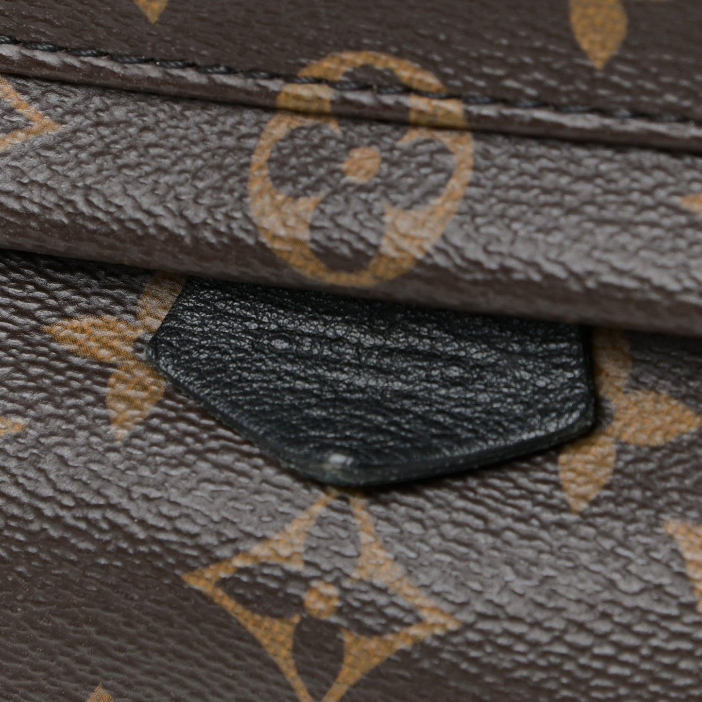 Monogram Palm Springs Backpack Mini