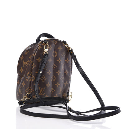 Louis Vuitton Monogram Palm Springs Backpack Mini 3 of 6
