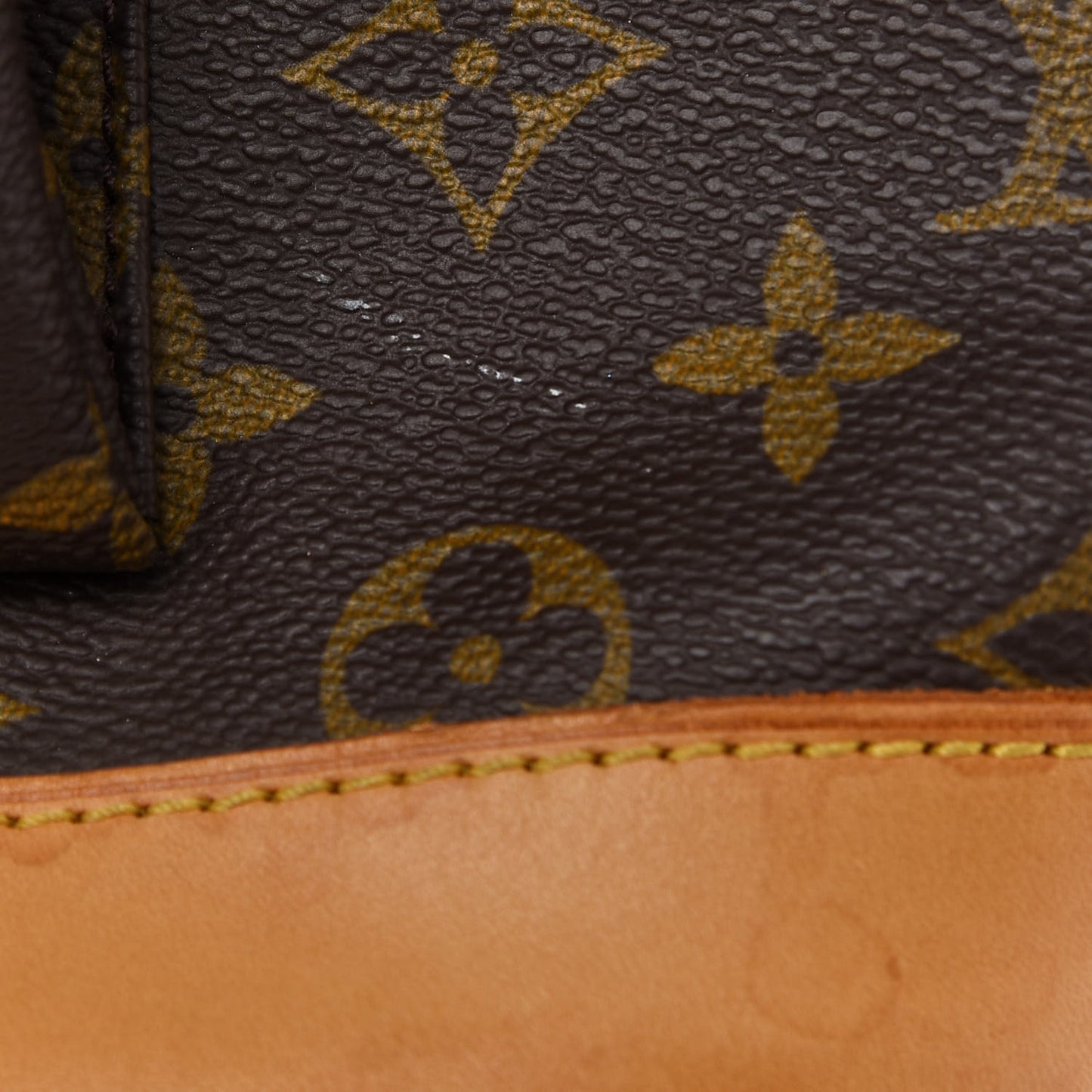 Monogram Montsouris GM Backpack