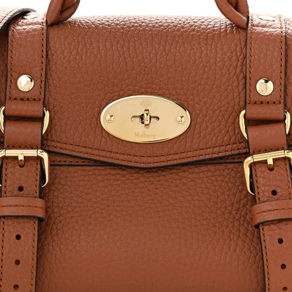 Mulberry Heavy Grain Mini Alexa Chestnut 7 of 9