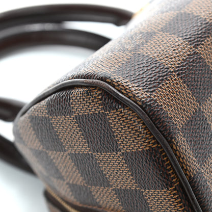 Louis Vuitton Damier Ebene Ribera Mini 11 of 15