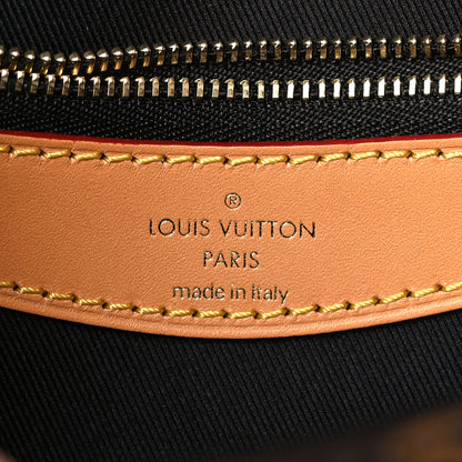 Louis Vuitton Monogram Diane 6 of 8