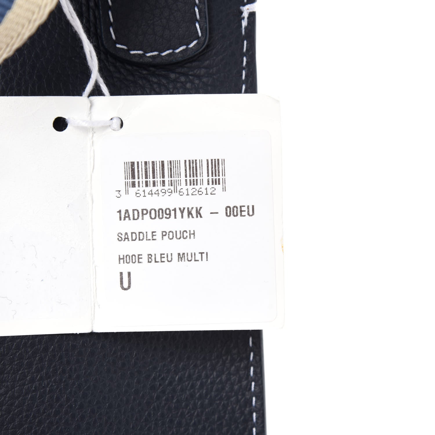 Christian Dior X KAWS Grained Calfskin Saddle Pouch Blue Multicolor 10 of 11