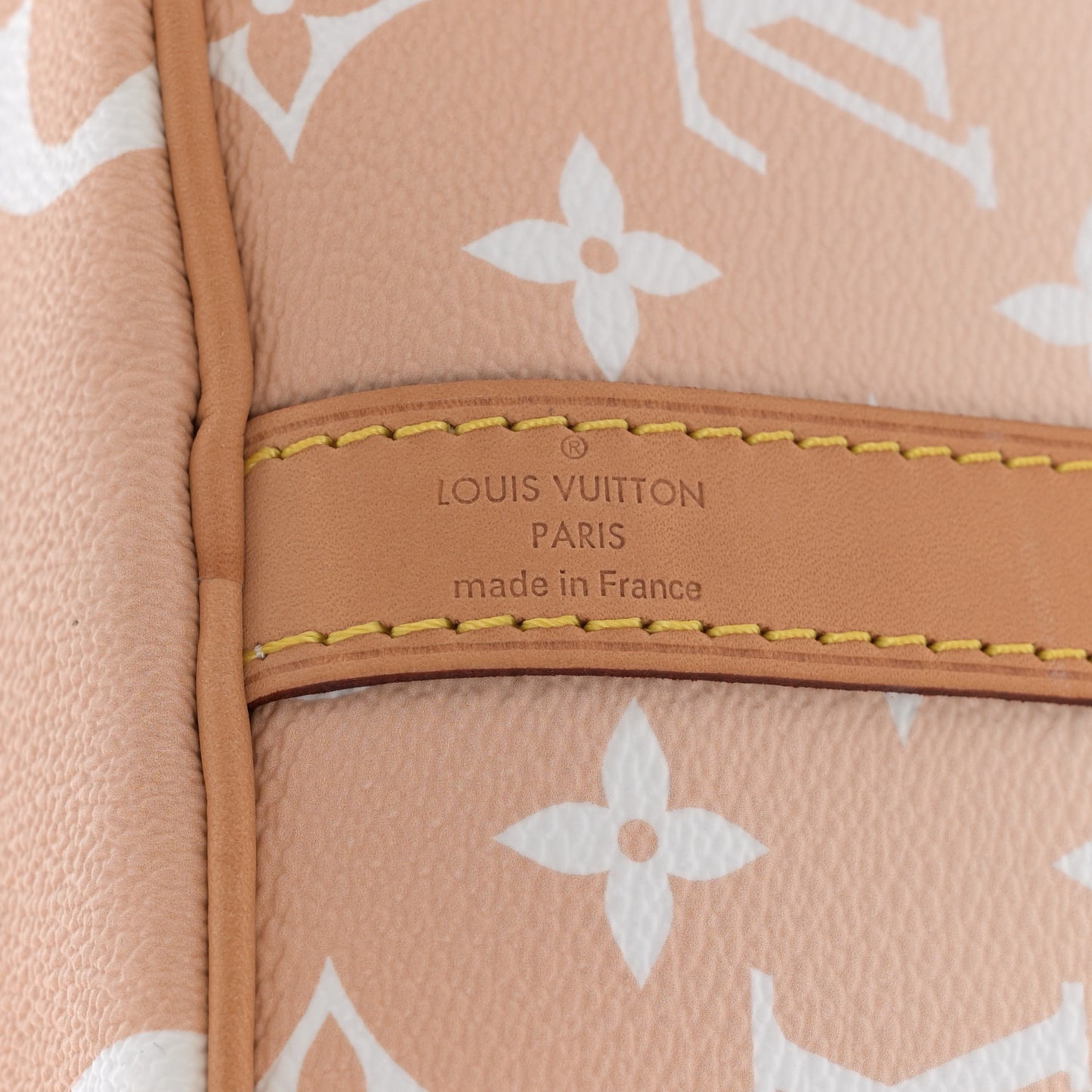 Monogram Giant By The Pool Speedy Bandouliere 25 Brume