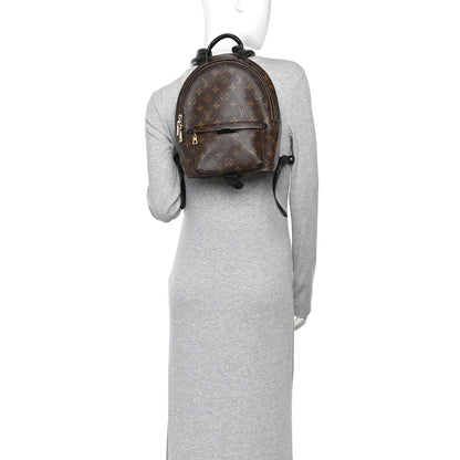Louis Vuitton Monogram Palm Springs Backpack PM 2 of 10