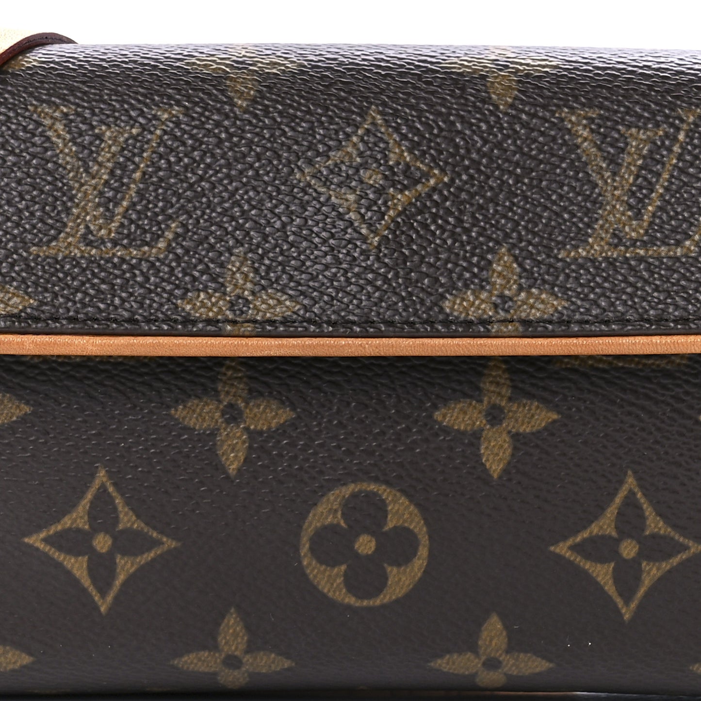 Monogram Pochette Florentine M