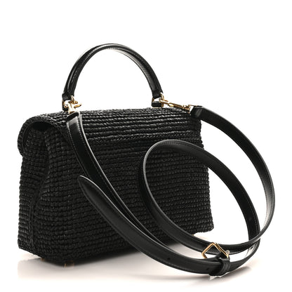 Celine Raffia Calfskin Teen Nino Black 2 of 9