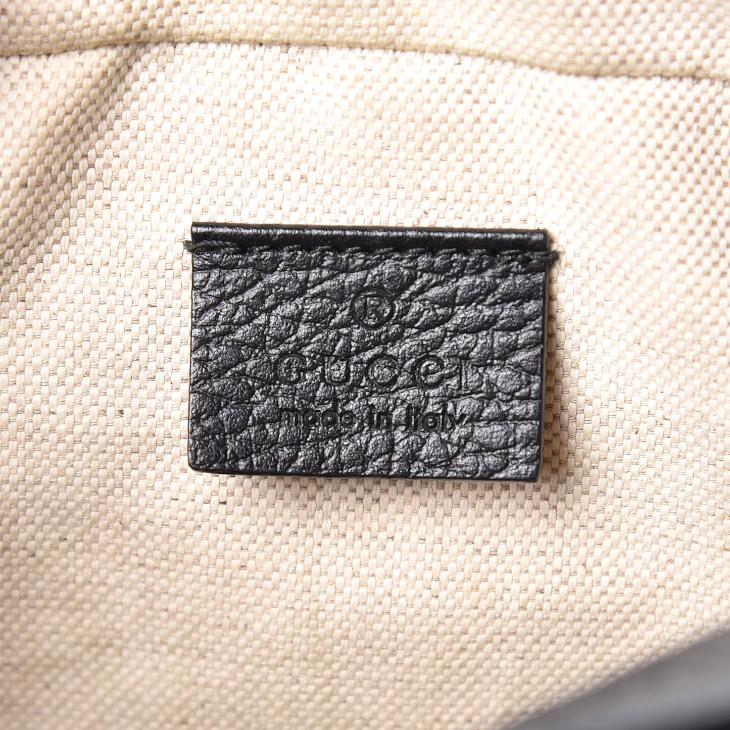 Grained Calfskin Sylvie Web Kingsnake Small Camera Bag Black Multicolor